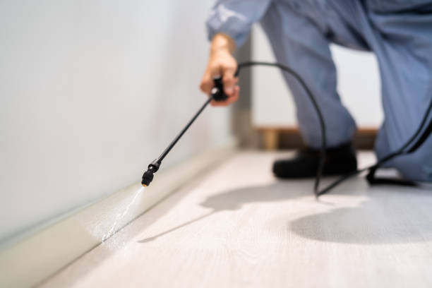 Licensed Termite Control service in Stephens County County, GA - Nex Pest Control