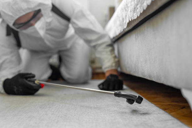 Professional Termite Control technician working in Stephens County County, GA